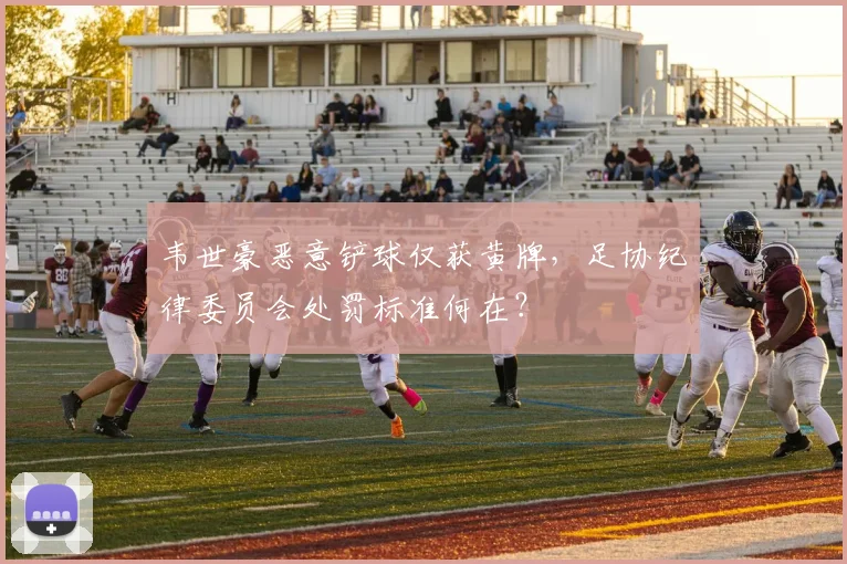 韦世豪恶意铲球仅获黄牌，足协纪律委员会处罚标准何在？